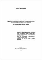 DISSERTACAO DE MESTRADO - GIZELA GOTUZZO - 10 DEZ 09.pdf.jpg
