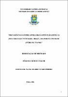disser falchi.pdf.jpg