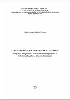 Tese Carlos Leonardo Coelho Recuero.pdf.jpg