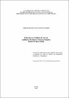 Aminadabe dos Santos Pires Soares.pdf.jpg