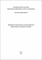 Luiz Fabiano Gomes Gularte.pdf.jpg