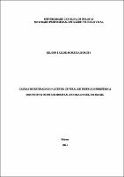 Dissertação - Dilson Tailor Moreira Borges.pdf.jpg