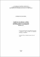 Dissertação - Henrique Bestani Seidel.pdf.jpg