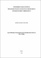 Dissertação - Raphael Goveia Rodeghiero.pdf.jpg