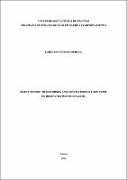 carol.resumo.pdf.jpg
