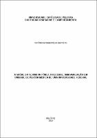 Tese - Verônica Figueiredo Barreto (1).pdf.jpg