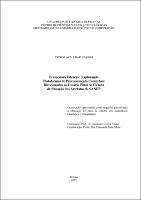 Dissertação - Victor Avila Ratuchenei.pdf.jpg