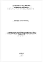 Tese - Rafael de Oliveira Arrieira.pdf.jpg