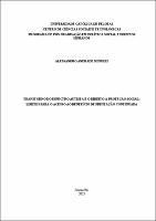 Dissertação - Alessandro Andrade Minuzzi.pdf.jpg