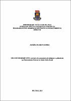 Tese - Janaína da Silva Guerra.pdf.jpg