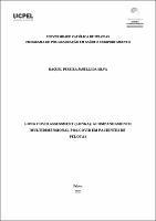 Tese - Raquel Pereira Janelli da Silva.pdf.jpg