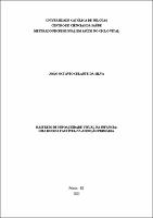 Dissertação - João Octavio Celante da Silva.pdf.jpg